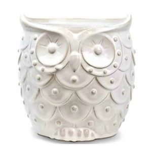 Ceramic owl planter